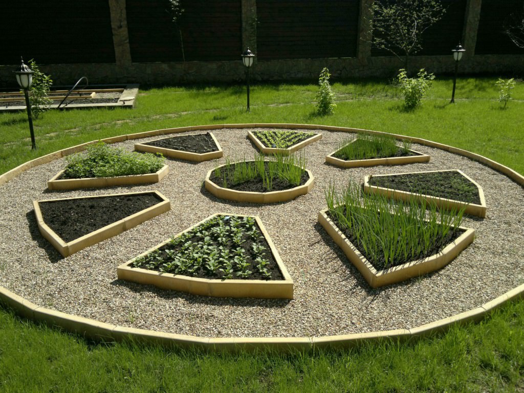 Декоративный огород – украшение участка
