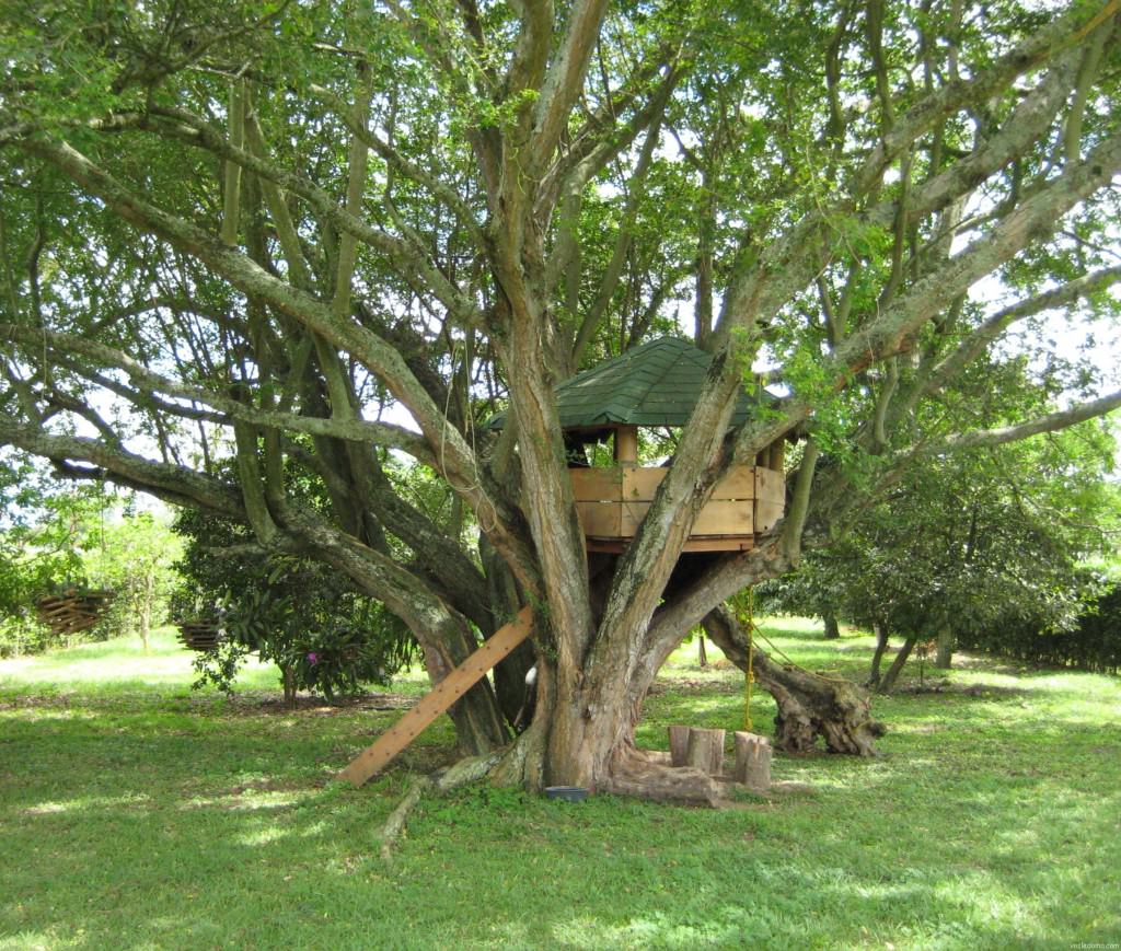 Игровой домик на дереве