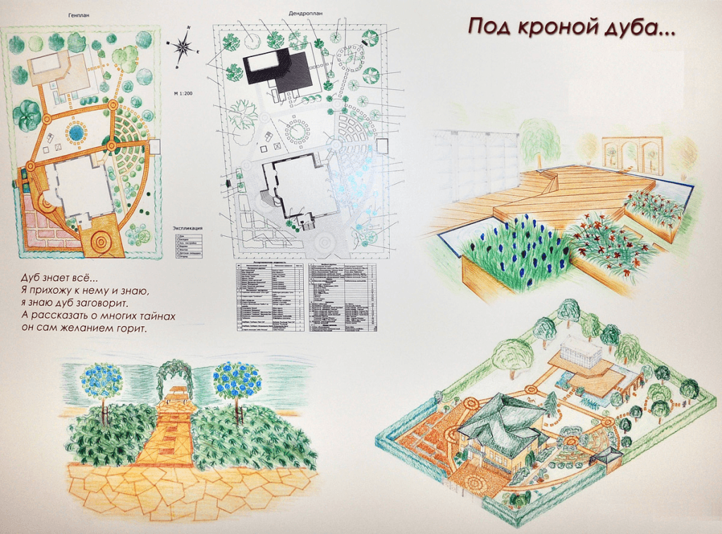 Оригинальный проект благоустройства и озеленения вашего участка от студии "ДриадаС"