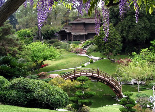 Японский сад 