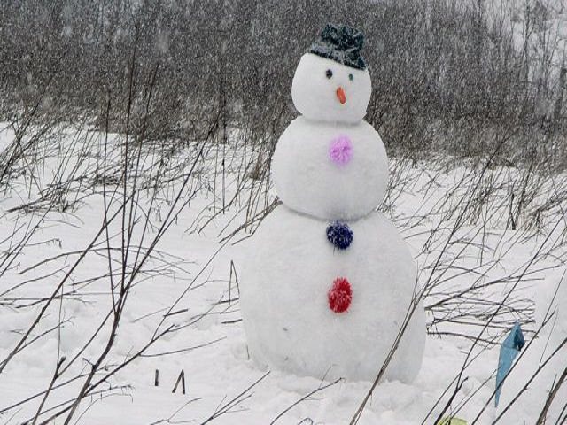 Фото снеговика