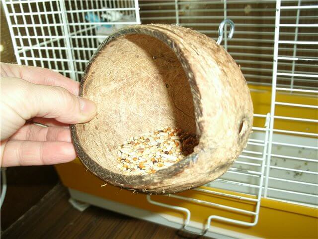 Кормушка из кокоса