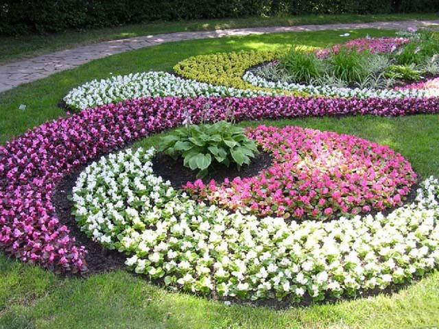 Арабески из цветов в виде спиралей
