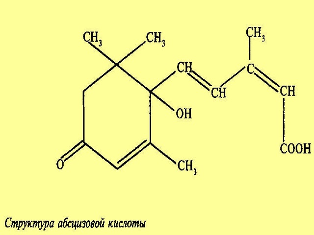 Структурная формула абсцизовой кислоты