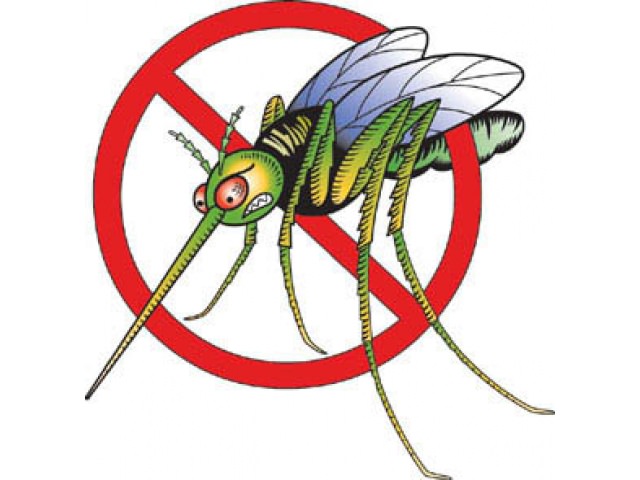 как защититься от комаров на даче