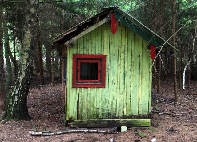 Дом в лесу: статьи, проекты и фото