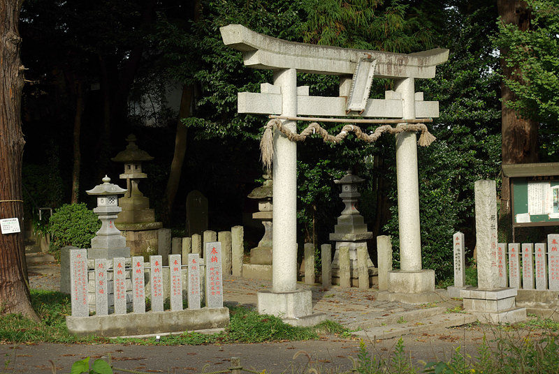 Традиционные японские ворота «тории»