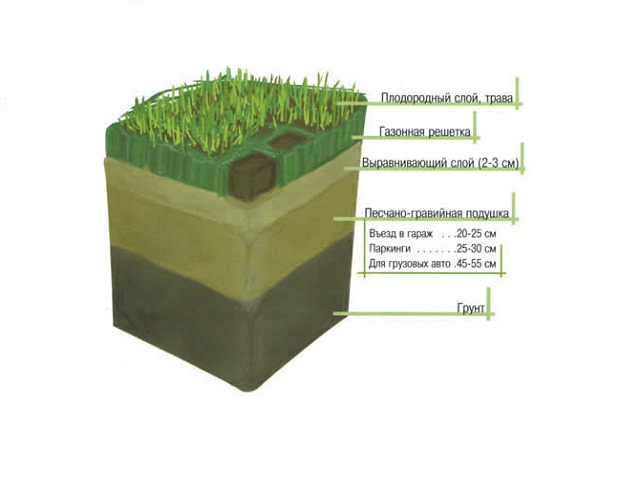 Подготовка почвы и сроки посадки трав