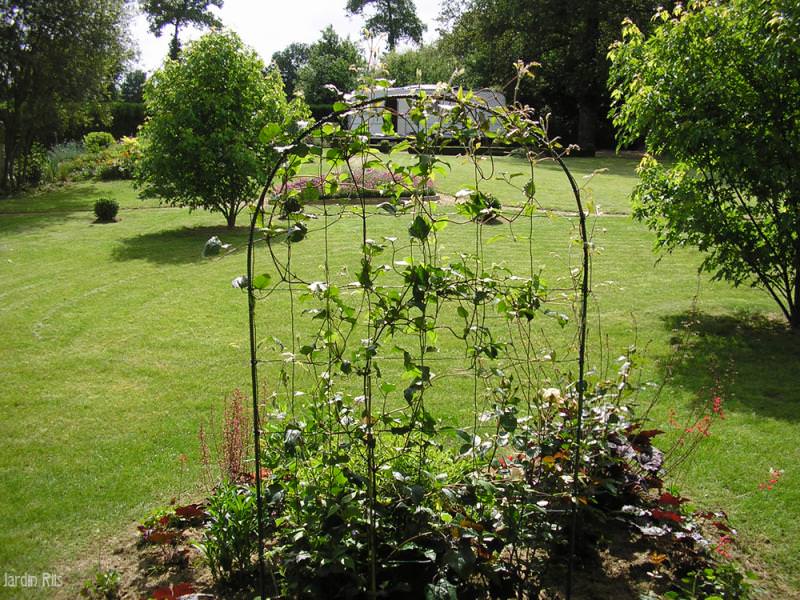 Садовые опоры, кустодержатели, шпалеры для роз, для клематиса и других вьющихся растений