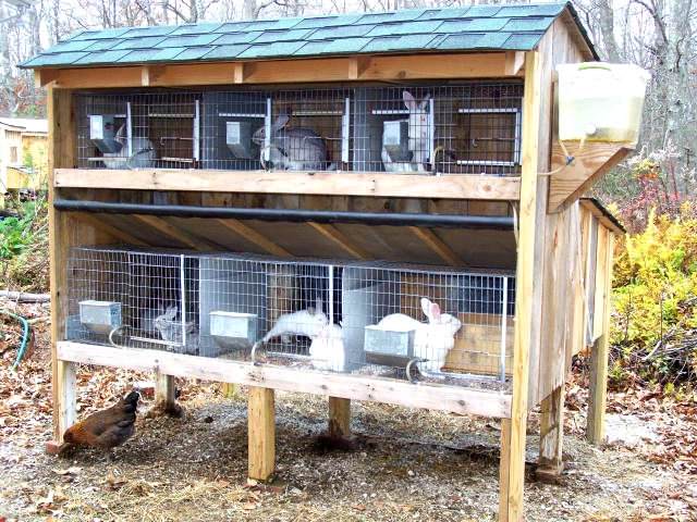 Фермы и клетки для кроликов своими руками: фото, как сделать мини-ферму и крольчатник