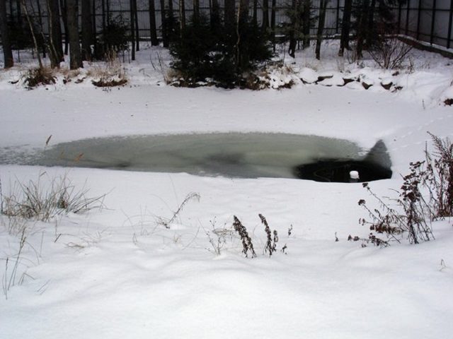 пруд с водой на зиму