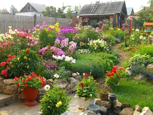 Место в саду для прекрасных лилий