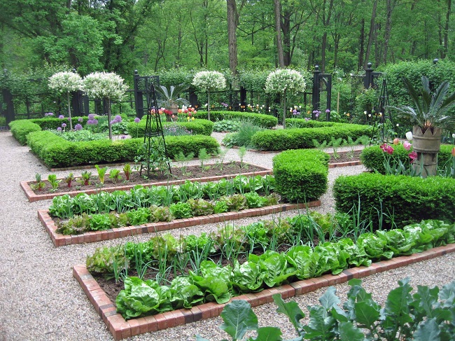 Декоративный сад как элемент ландшафтного дизайна участка