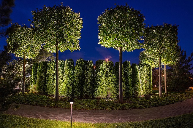 Декоративное освещение для деревьев и кустарников