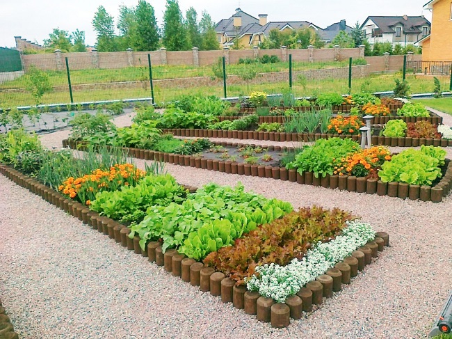 Декоративный сад как часть ландшафтного дизайна участка