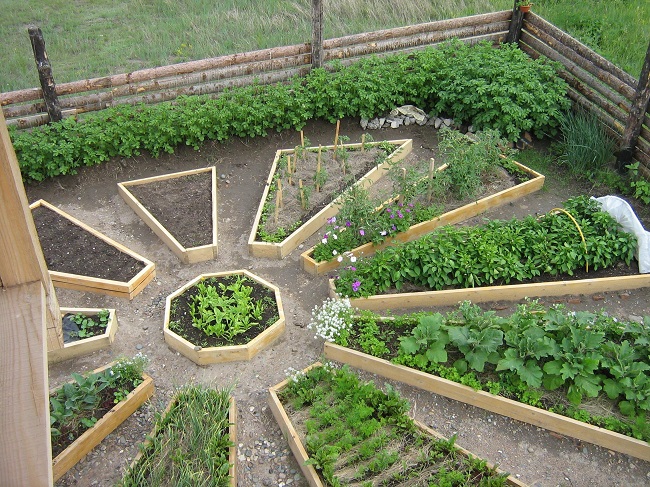 Декоративный сад как часть ландшафтного дизайна участка