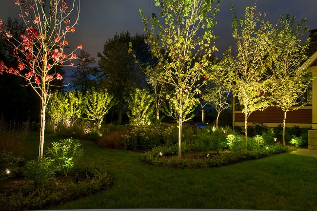 Виды декоративного освещения для деревьев и кустарников