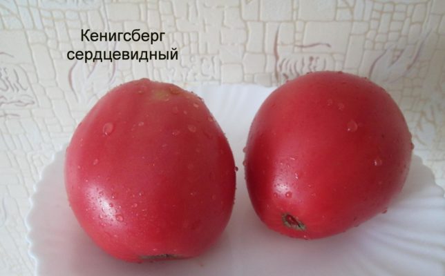 Сорт томатов Кенигсберг: такие разные, но всегда вкусные