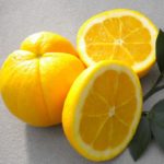 Почему апельсин назвали «китайским яблоком», что это такое и где растет