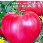 Томат Буденовка: характеристика сорта и особенности выращивания