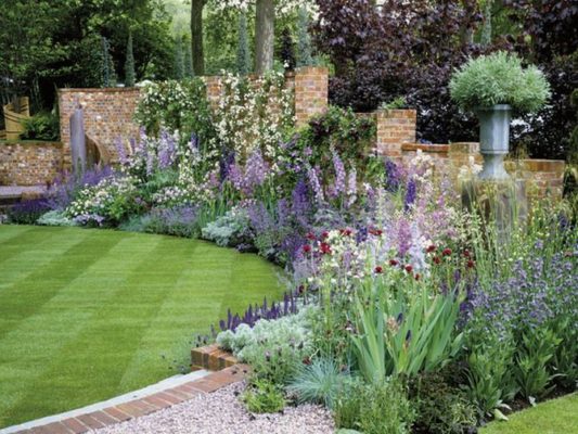 Заячий хвост: декоративная трава для украшения вашего сада