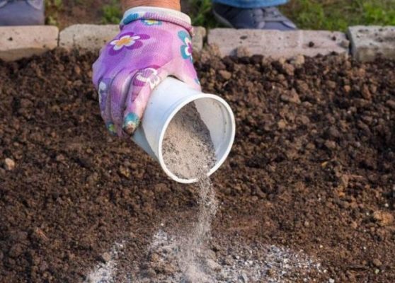 Какую землю любит клубника: как подготовить почву и ухаживать за почвой после посадки