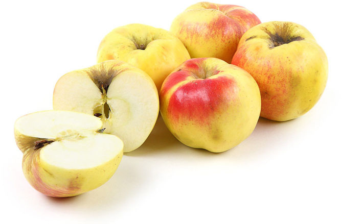 Описание сорта яблони Богатырь: морозостойкость, опылители, отзывы4