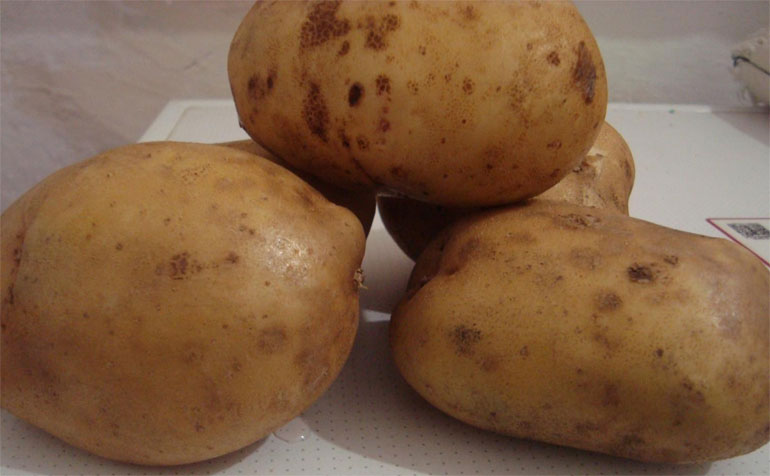 Описание сорта картофеля Невский, фото, отзывы садоводов0