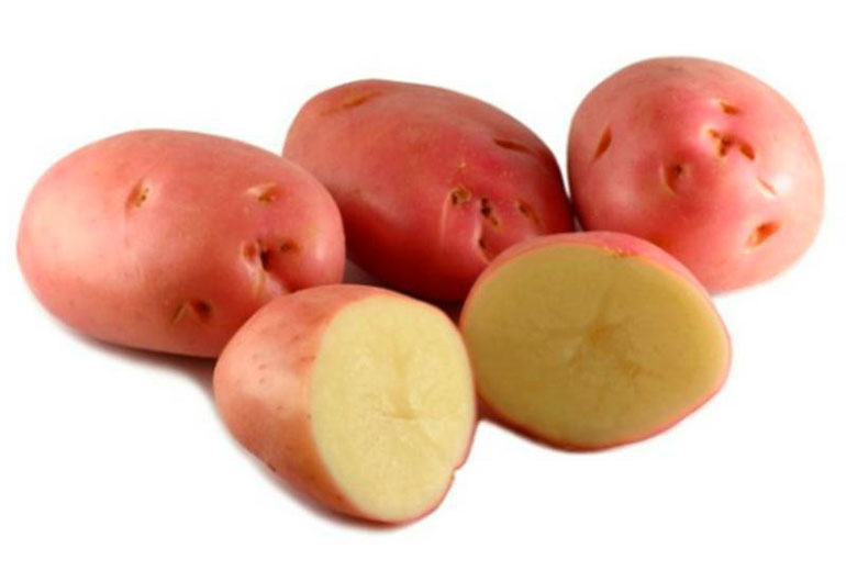 Сорт картофеля Беллароза: характеристика и описание, отзывы, вкусовые качества2