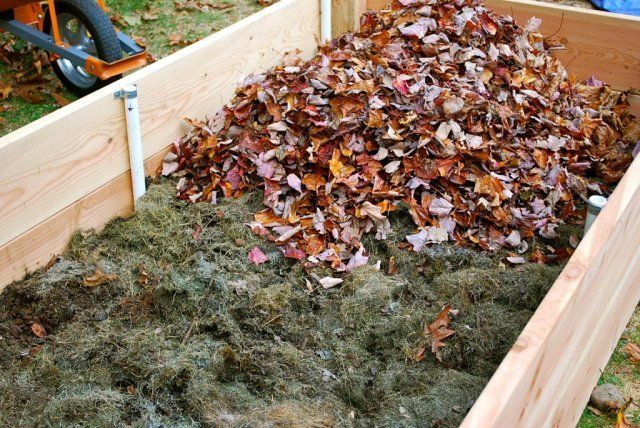 10 идей, что делать с опавшими листьями осенью