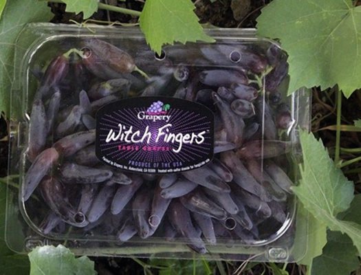 Элитный сорт винограда Witch Fingers: тайна и изысканность в одном