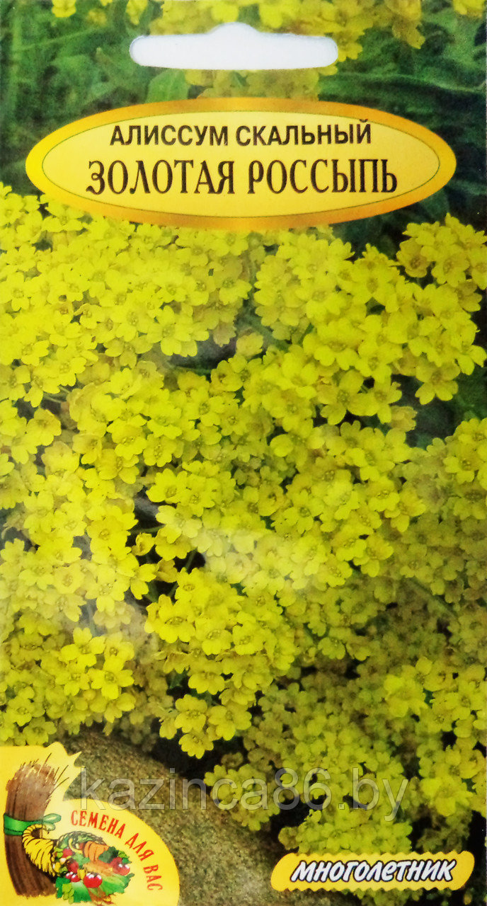 Цветок алиссум: уход и посадка в открытый грунт, сорта с фото19