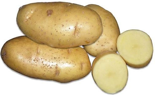 Сорт картофеля Удача - характеристика, описание, вкус, отзывы, фото4