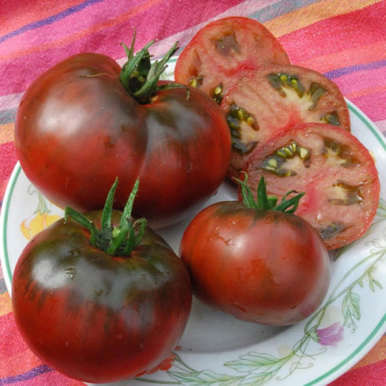 Сорт помидор Черный принц — описание и характеристика, фото, отзывы2