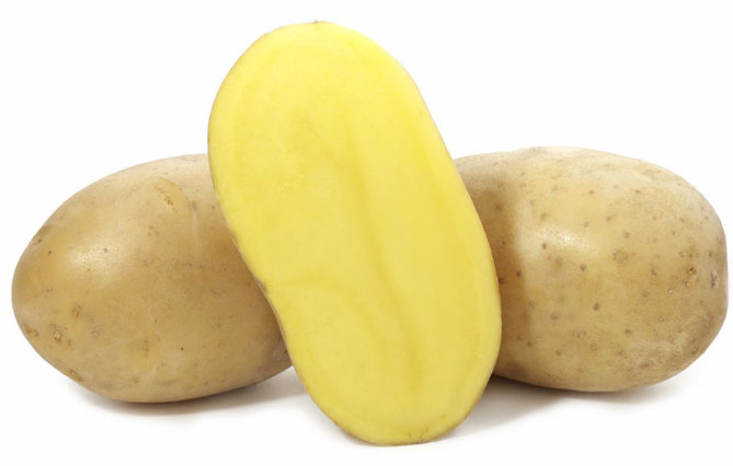 Картофель Вега — характеристика сорта, отзывы, вкус, фото2