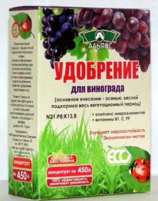 Виноград Фуршетный: один из новых сортов на наших участках