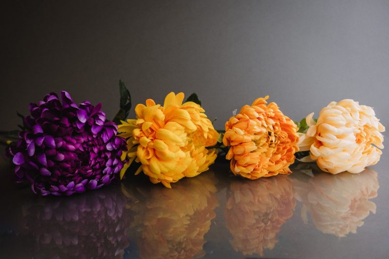 Многолетние хризантемы — сорта, фото2