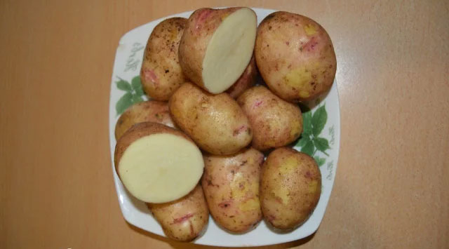 Картофель Аврора: характеристика сорта, мнения, вкусовые качества2