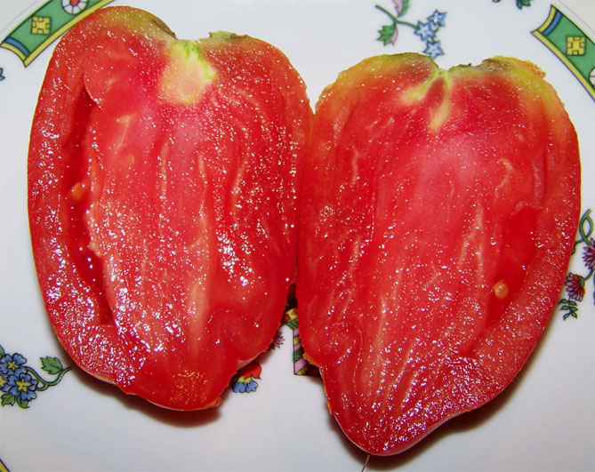 Описание сорта помидор Корнабель: характеристика плодов, куста, урожайность, фото4