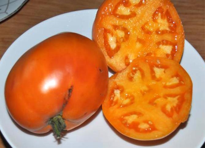 Характеристика и описание помидор Кенигсберг: отзывы и фото сорта, урожайность сортов, особенности роста4