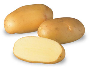 Описание лучших сортов картофеля для средней полосы России: самые урожайные и вкусные6