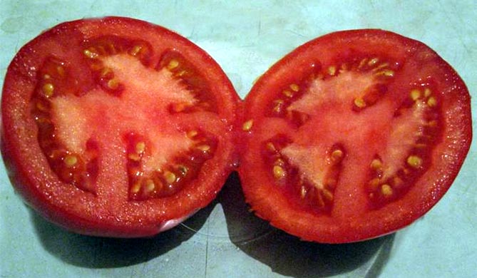 Лучшие сорта томатов на 2019 год, отзывы, фото16