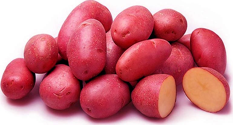 Сорт картофеля Ред Скарлет – описание, отзывы, фото0