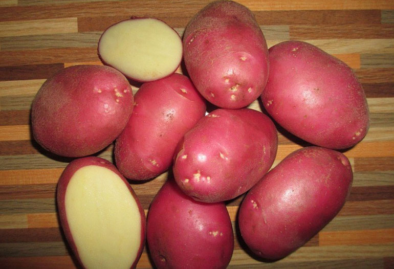 Картофель Рокко: характеристика и описание сорта, отзывы, вкусовые качества0