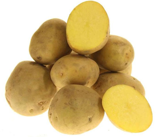 Ультраранний и ранний картофель: сорта с фото и описанием, отзывы9