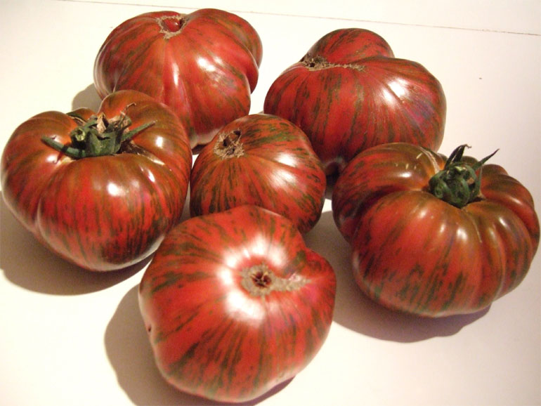 Характеристика сорта Полосатый шоколад — описание томатов, отзывы, фото1