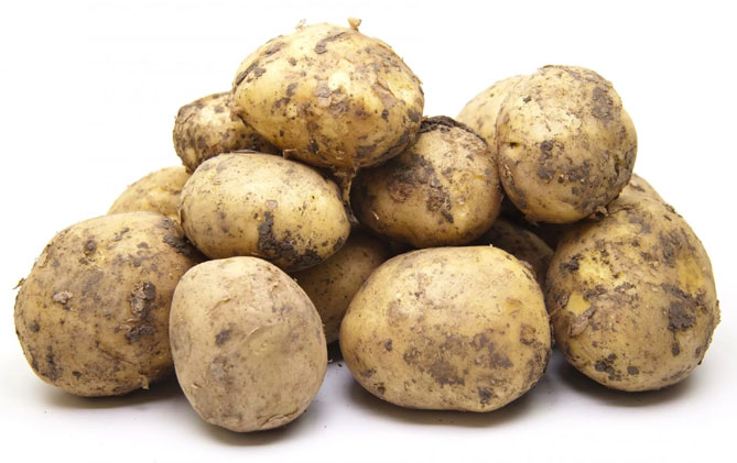 Сорт картофеля Ривьера: характеристика, описание и отзывы, вкусовые качества, агротехника, фото3