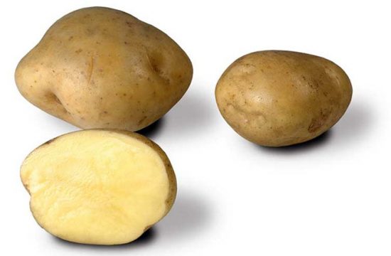 Ультраранний и ранний картофель: сорта с фото и описанием, отзывы1