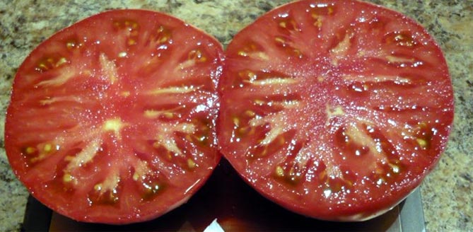 Сорт томатов Чудо земли — характеристика, описание плодов, отзывы огородников, фото3