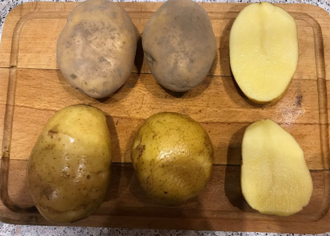 Картофельный бриз - характеристика сорта, отзывы, вкус4
